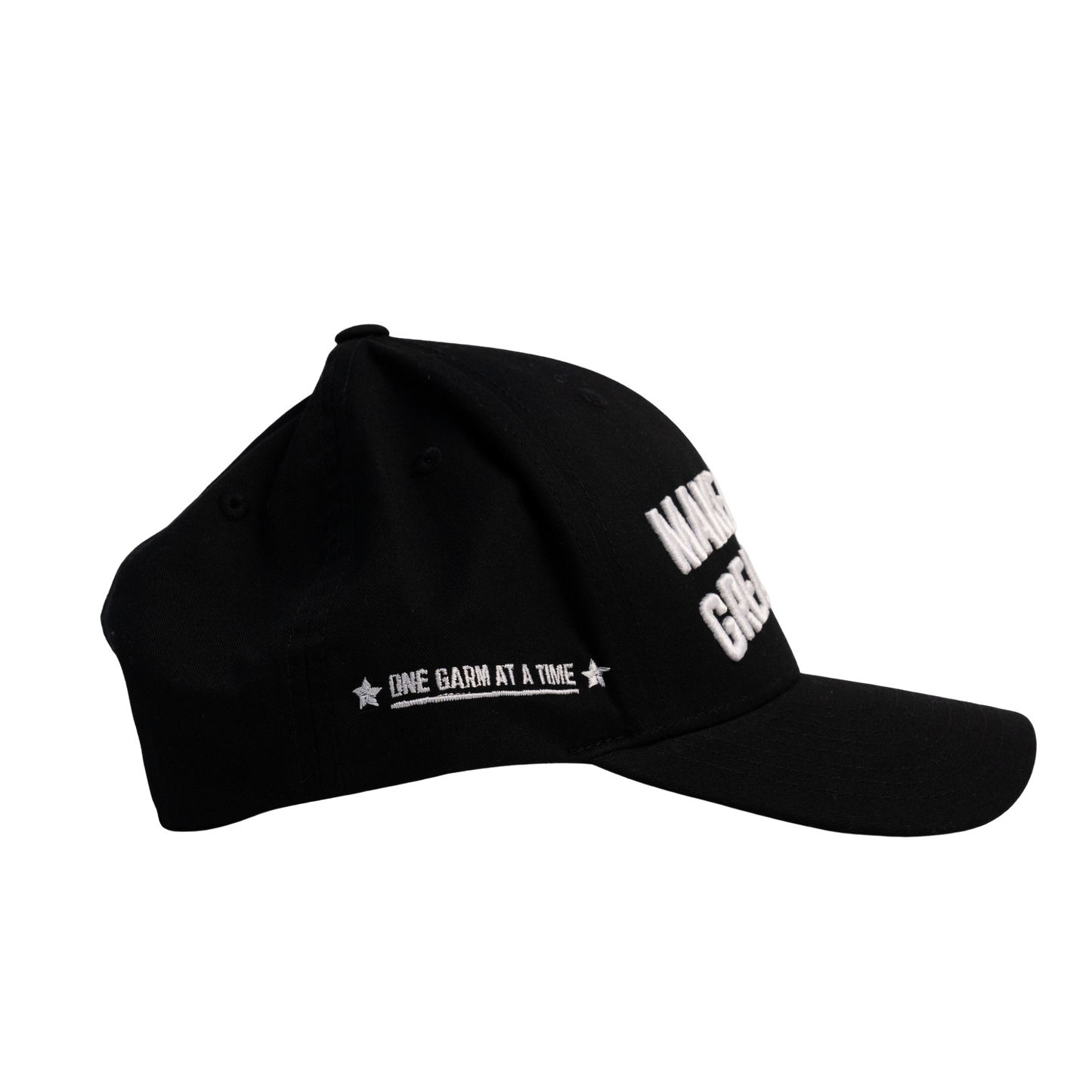 Varsity Cap | Curved Brim